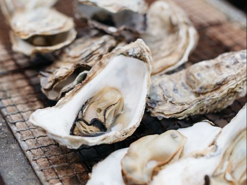 日本海の冬の幸は最高の味わいです