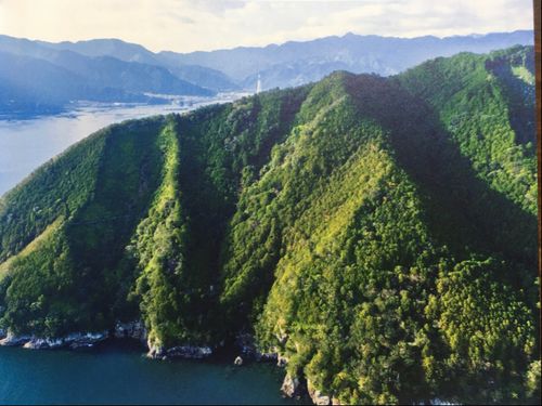 入り組んだリアス式と沿岸に迫る急峻な山