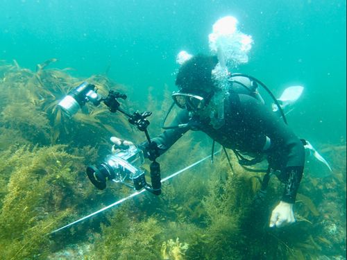 海の実態調査も、大事な仕事。