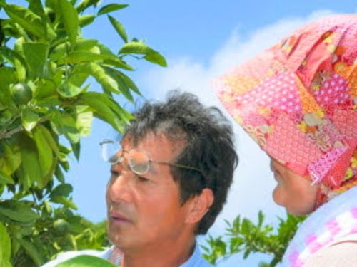 真剣なまなざしでみかんの木を見つめる代表溝口さん