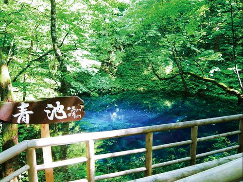 神秘の湖「青池」