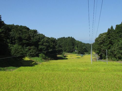 里山の風景