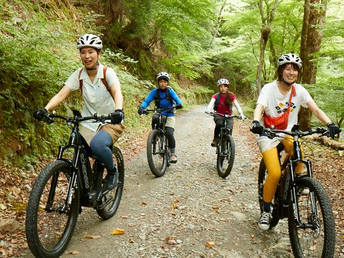 森林の中を電動のスポーツバイクで走るアクティビティが人気。