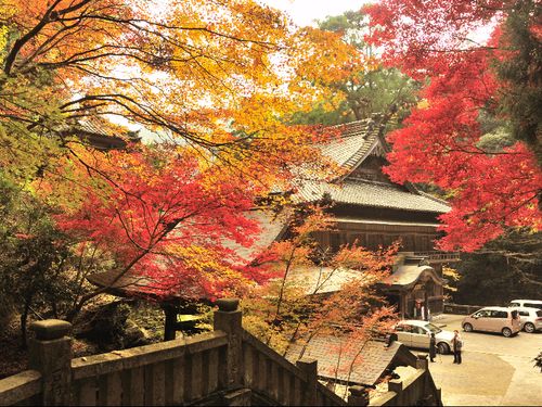 四国８８カ所　奥の院　仙龍寺の紅葉