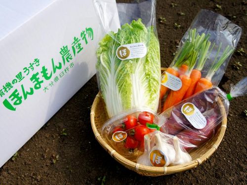 化学肥料と化学合成農薬不使用のほんまもん農産物