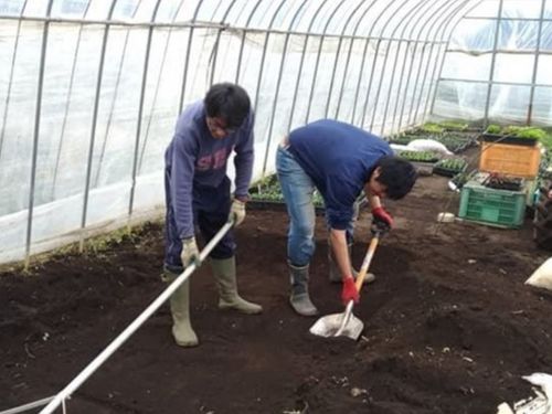 地域おこし協力隊の研修の様子。土づくりから学びます