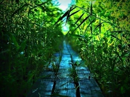 猿払村／モケウニ沼