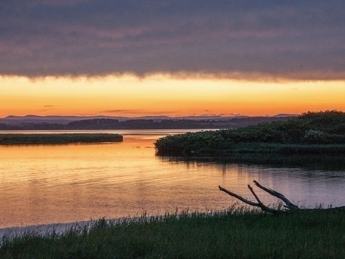 北海道の中でもとりわけ北に位置する、猿払村（さるふつむら）。約590k㎡という広大な土地の8割を山林と原野が占めています。宗谷丘陵を源に、大小多くの河川がオホーツク海に注いでおり、その周囲には湿原と湖沼が広がっています。