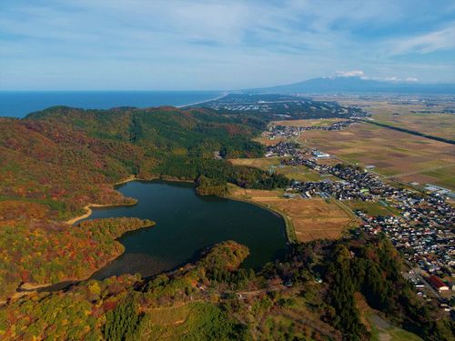 都沢湿地の全景