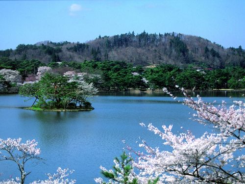白河市では四季折々の美しい景色が楽しめます。
