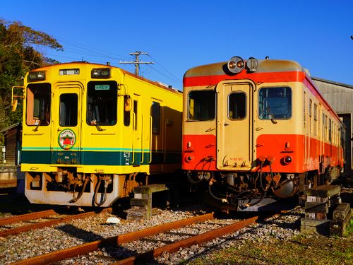 大多喜駅の車庫の写真です。左側が主に普通列車として走っている菜の花カラーの車両です。右側が旧国鉄型車両で昭和の観光列車として活躍している車両です。