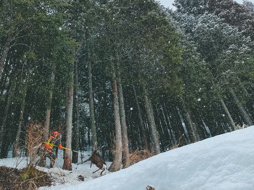 旦那たじりくんは猟師！見学もできます