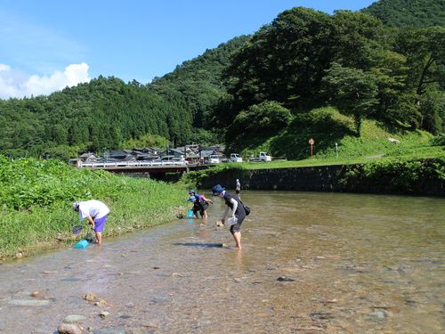 澄み切った川