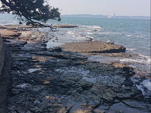 ２５００万年から５００万年前に出来たとされている海岸線