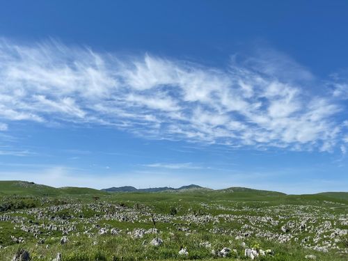 日本最大級のカルスト台地「秋吉台」