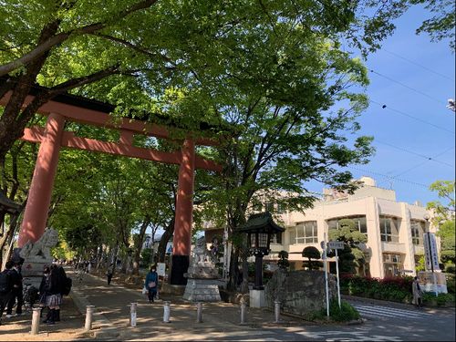 木漏れ日が美しい参道に面し、落ち着いたエリア