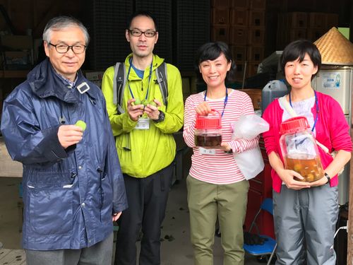 【体験ツアー】さつま町の特産品「南高梅」を収穫！