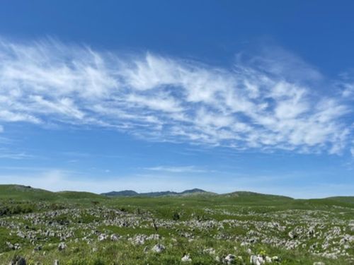 日本最大級のカルスト台地「秋吉台」
