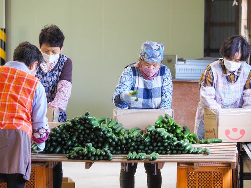 中山間地域では農業が盛んです！お母さんたちは超元気！