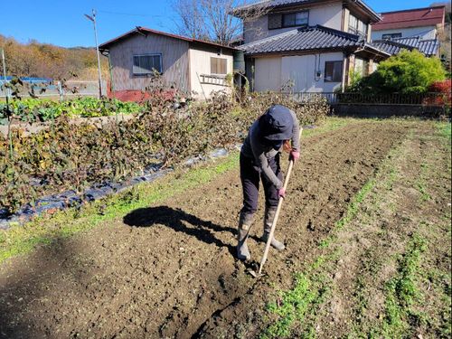 麦植え準備
