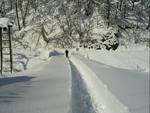 田舎での暮らしは大変なこともあります