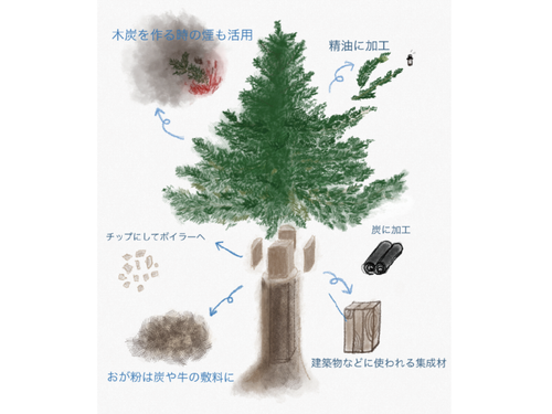 下川町の木のカスケード利用について