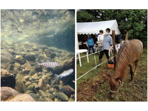 左：下川の清流を泳ぐヤマメ　右：一の橋で行われたイベント