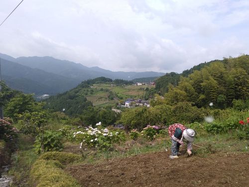 自然と人の営みがつくりだす里山の景色