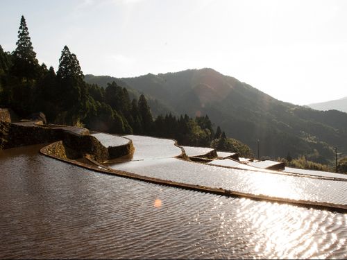 天空の茶屋敷の真裏にある棚田　田植え前の風景