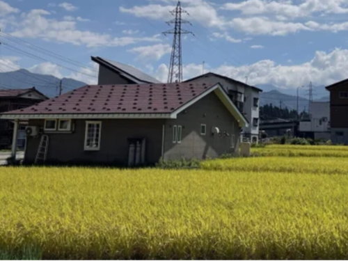 自然豊かな土地