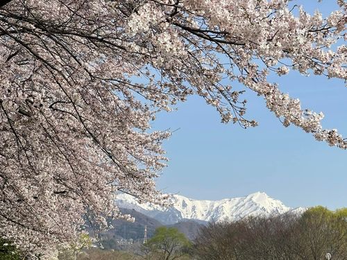 桜と雪の谷川岳。春の景色です。暮らしの風景です。