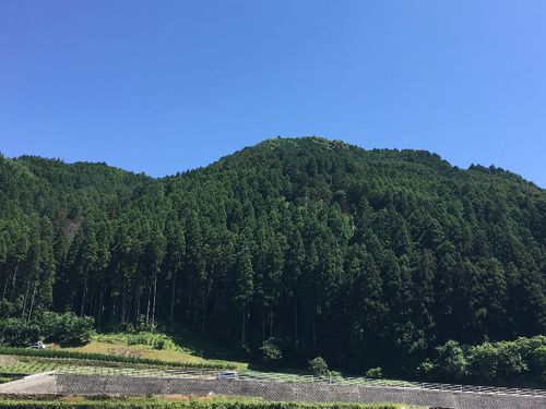 窓の外はこの景色！