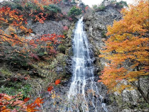自然や、四季が感じられるスポットが沢山です。