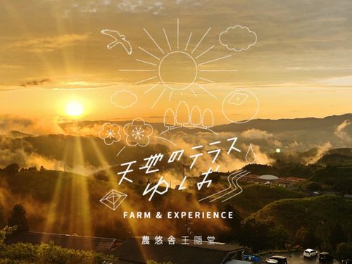 天地のテラスゆしおから見える絶景