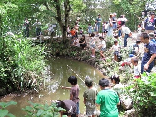 子どもに大人気！ザリガニ釣り