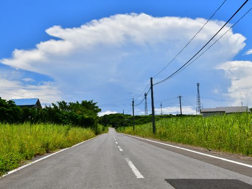都会でいう渋滞は、島にはありません。