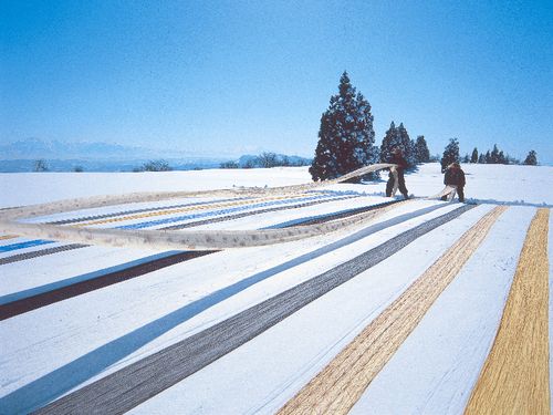 国の重要無形文化財に指定されている小千谷縮の雪さらし