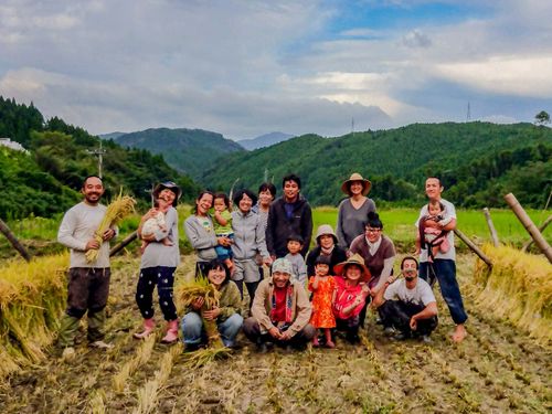 せっかく山で暮らしているので、昨年は先輩移住者の有機農家さんと一緒にお米作りにチャレンジさせていただきました！