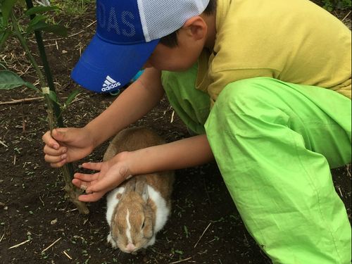 家庭菜園が身近にある暮らし