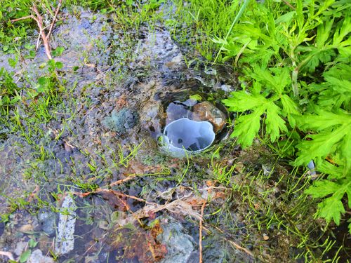 町内にいたる所で湧いている湧き水。