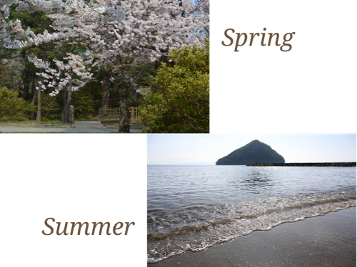 合浦公園の桜/サンセットビーチ浅虫