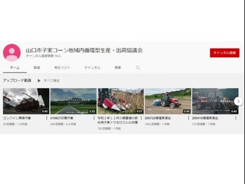 https://www.youtube.com/channel/UCqtzAiYPaKB6sLh1PwB_zqw