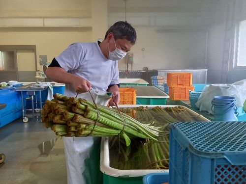 現協力隊　高橋（特産品開発担当）