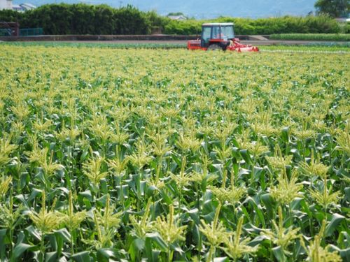 「真の山口産畜産ブランド」を底支えする立役者として活躍を！