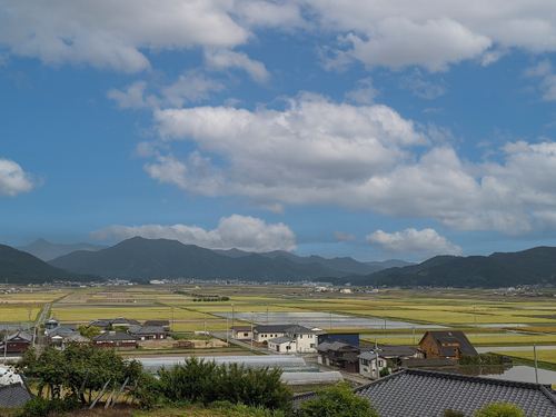 地域全体像、広い田んぼと住家