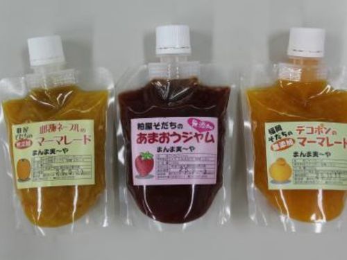 人気の季節のジャム