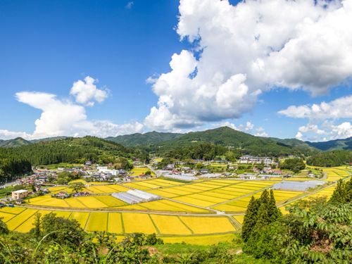 「いりやど」がある地区は自然と歴史を感じる里山エリア