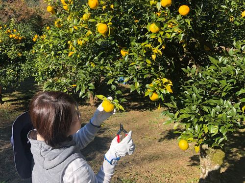 普段では体験できない体験をしてもらう。