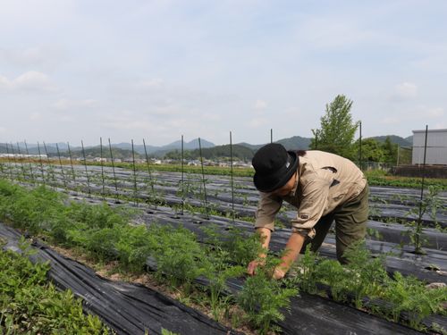 農業をベースに起業を目指す隊員！