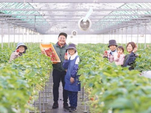 フルーツ王国うきは×福岡県唯一のオーガニックビレッジ宣言地域